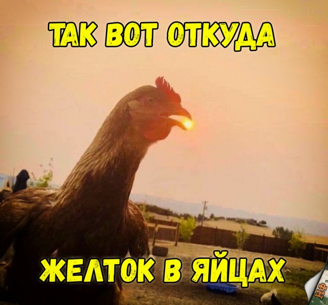 Нестандартный юмор