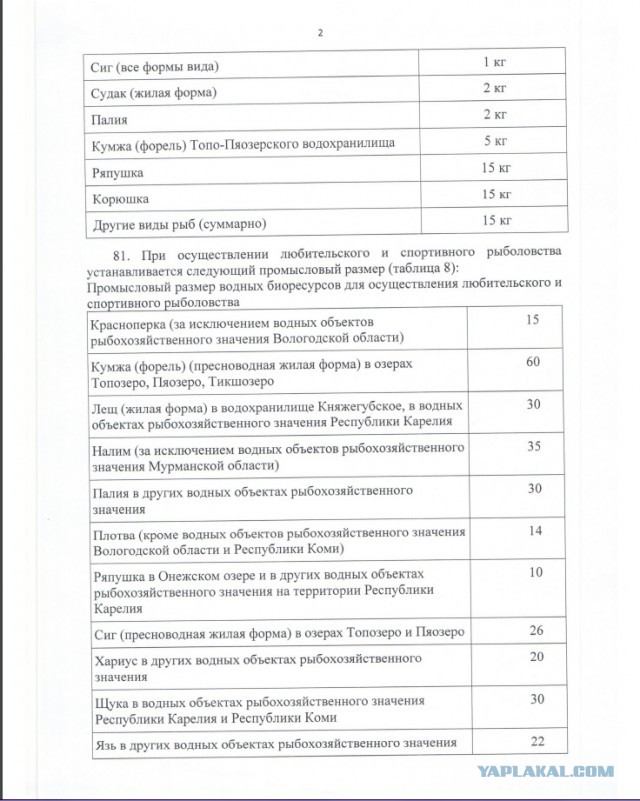 Нууу... За рыбалку! Не чокаясь