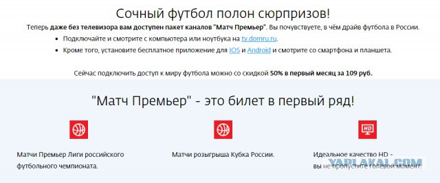 Чемпионат России по футболу (последний тур 2018/2019 и межсезонье)