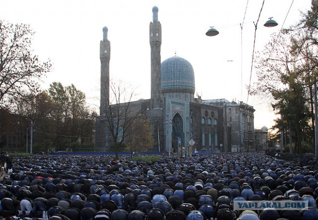 Немкам следует выходить замуж за беженцев
