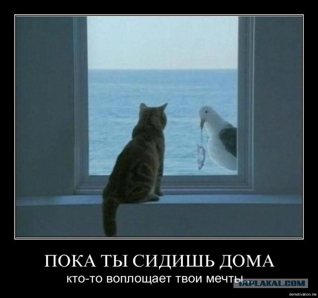 Чуток картинок (финал)