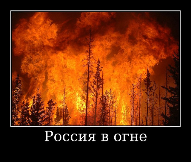 Всё в порядке. Comedy club высмеяли телевидение