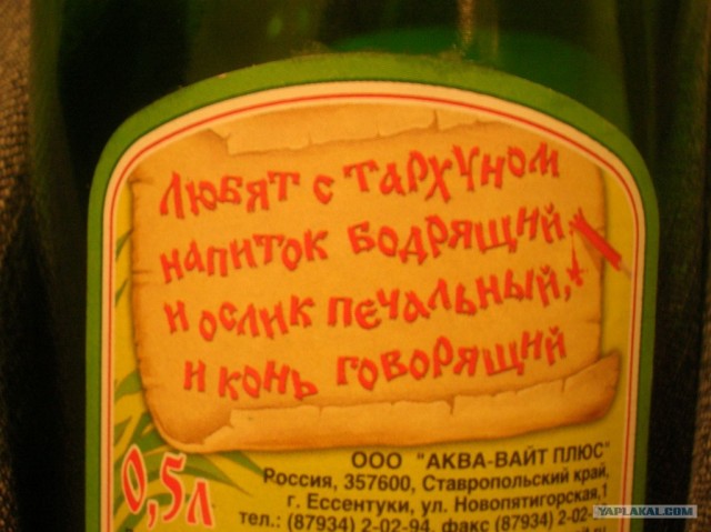 Что любят ослик печальный и конь говорящий?