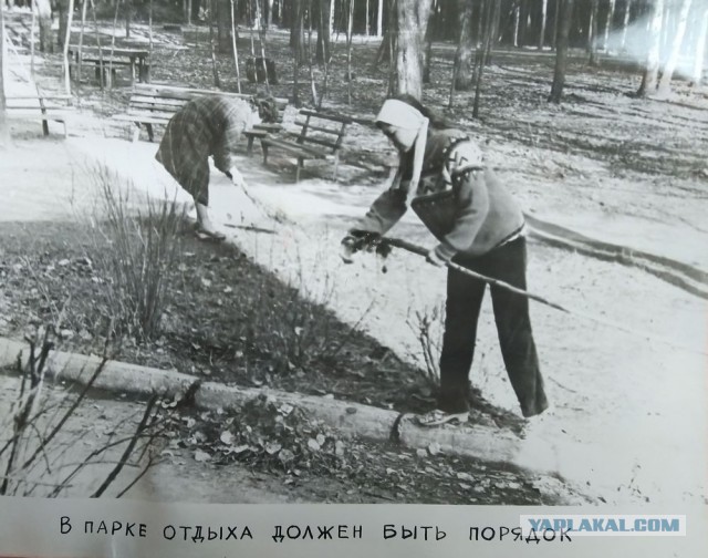 1985 – за год до трагедии