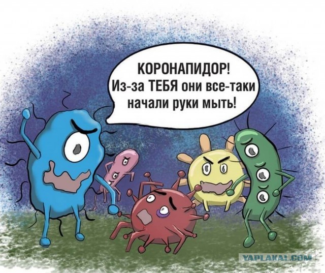 Актуальные карикатуры