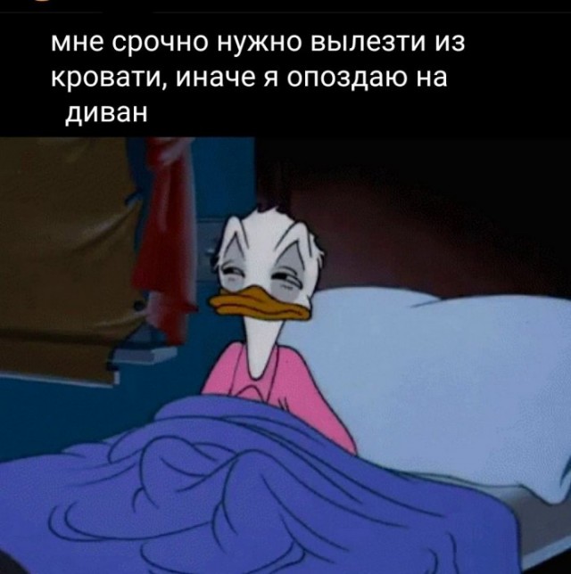 Немного картинок для настроения 06.05.20