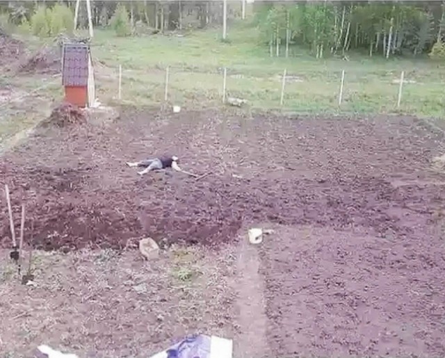 Немного упоротых картинок