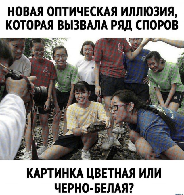 Бредзона 29.10.2020