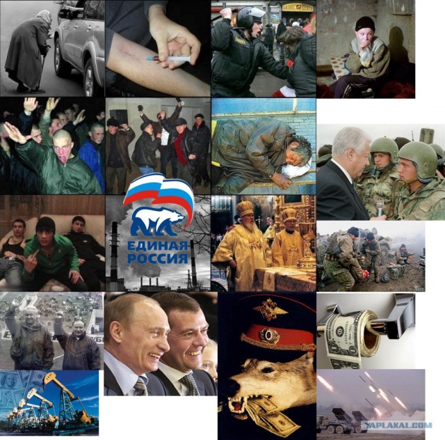Навальный и нашисты