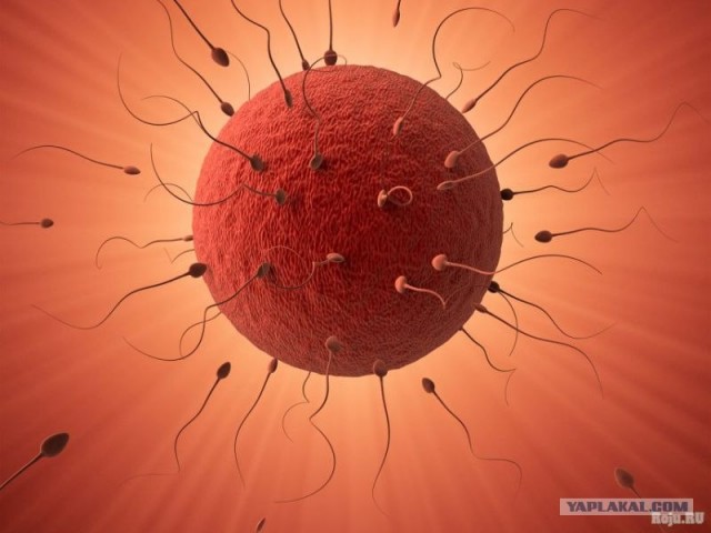 Вышел покурить а тут такое...