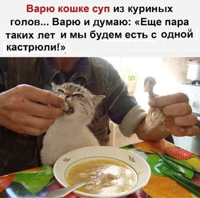 Картинки и мемы для настроения 01.06.2021