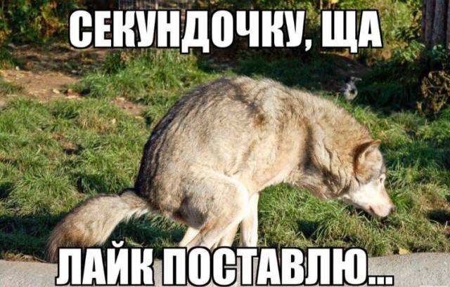 Невесту дерьмодемона