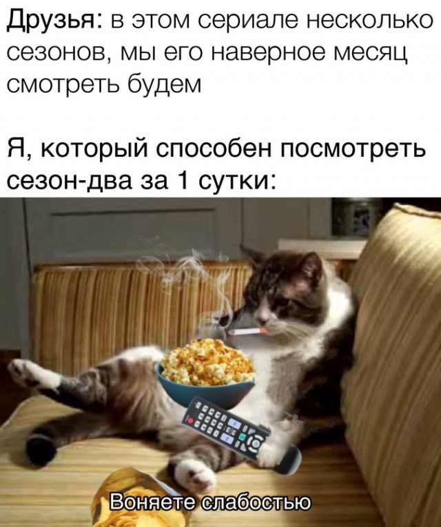 Весёлый полтишок 15.10
