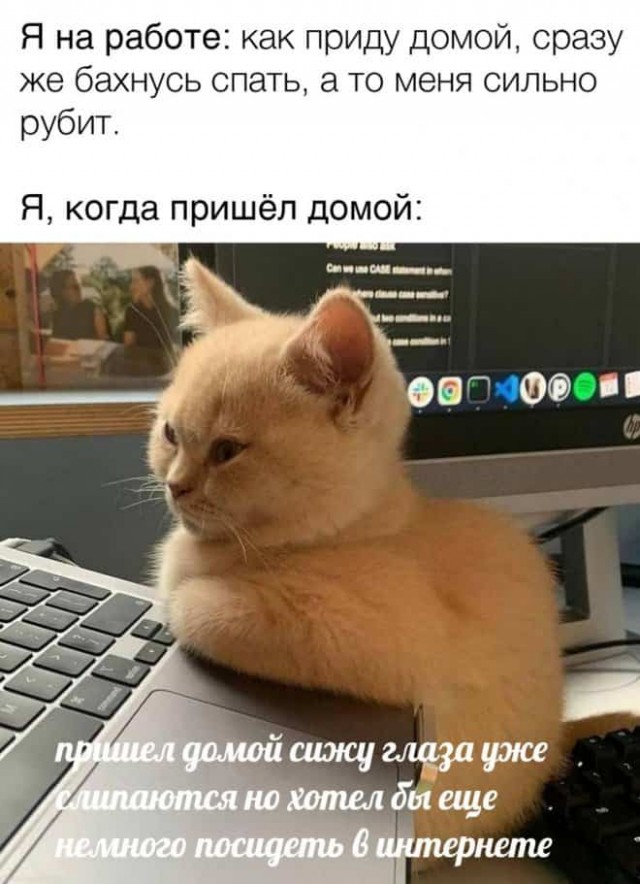Баянисто-небаянистый юмор 13.01.22