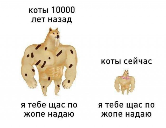Всяческие картинки 17.01.2022