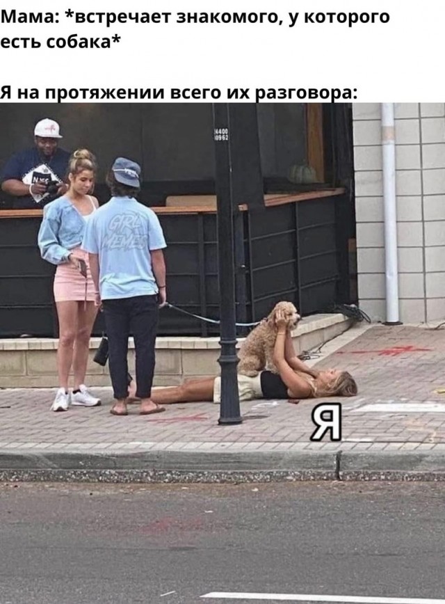 Так себе картинки 28.02.22