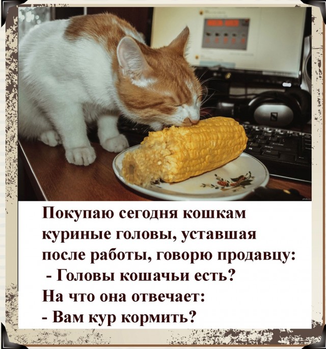 Так себе картинки 21.04.22