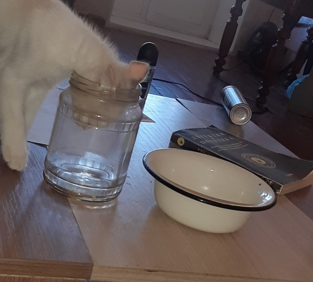 Котомафия