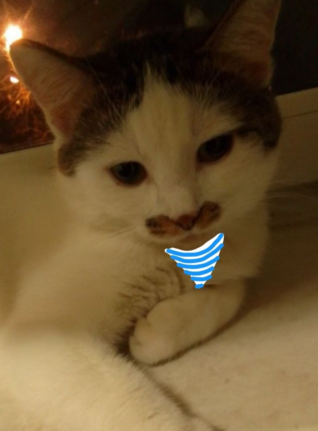 Кот д’Ивуар