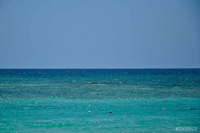 Путешествие по Северной Америке