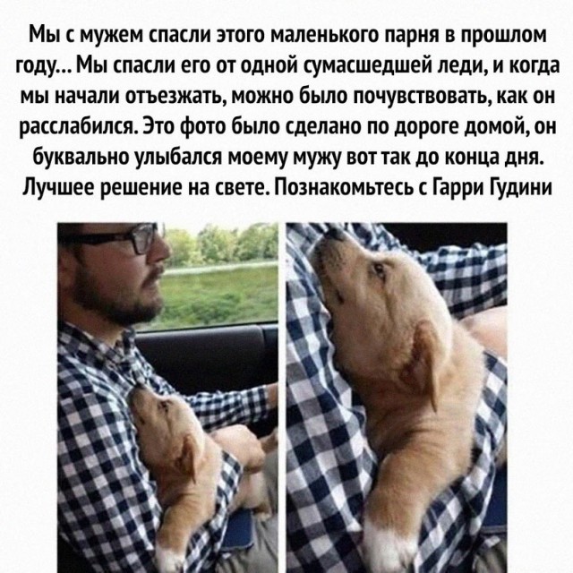 Картинки и мемы, всем хороших выходных