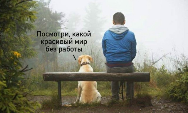 Деградация лайт 14.10.2022