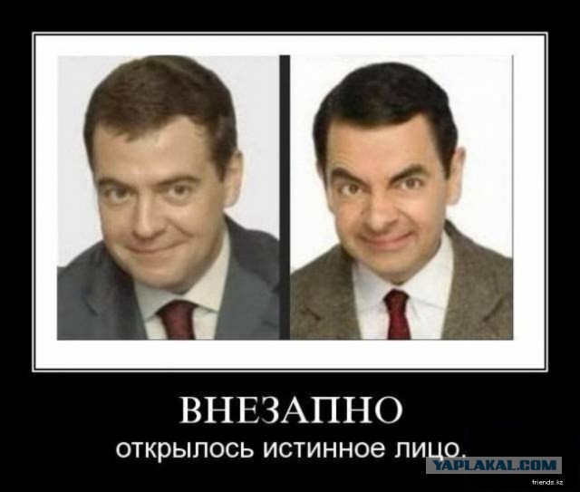 Вот и Димон проснулся.