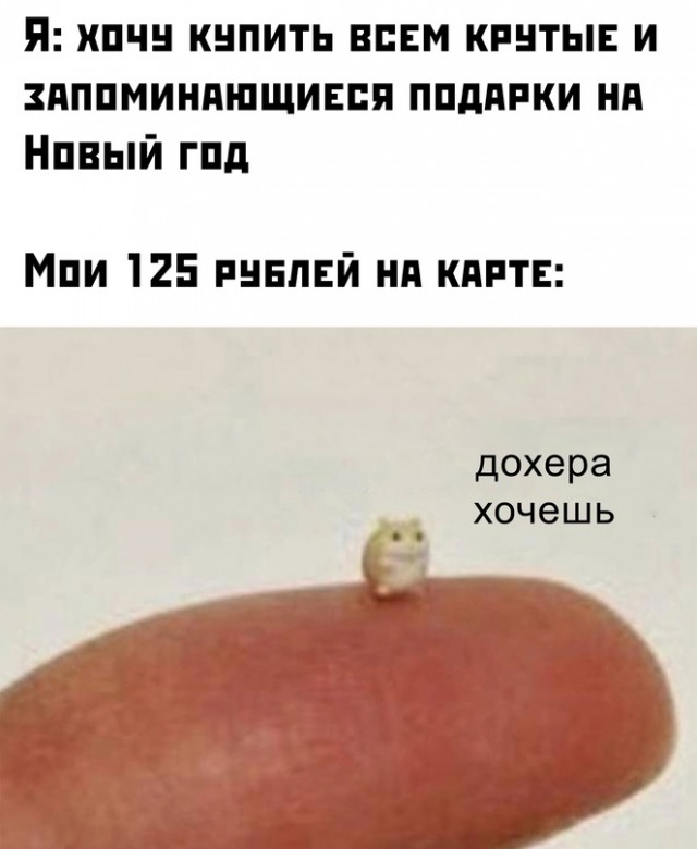 Весёлый полтишок 29.12.22