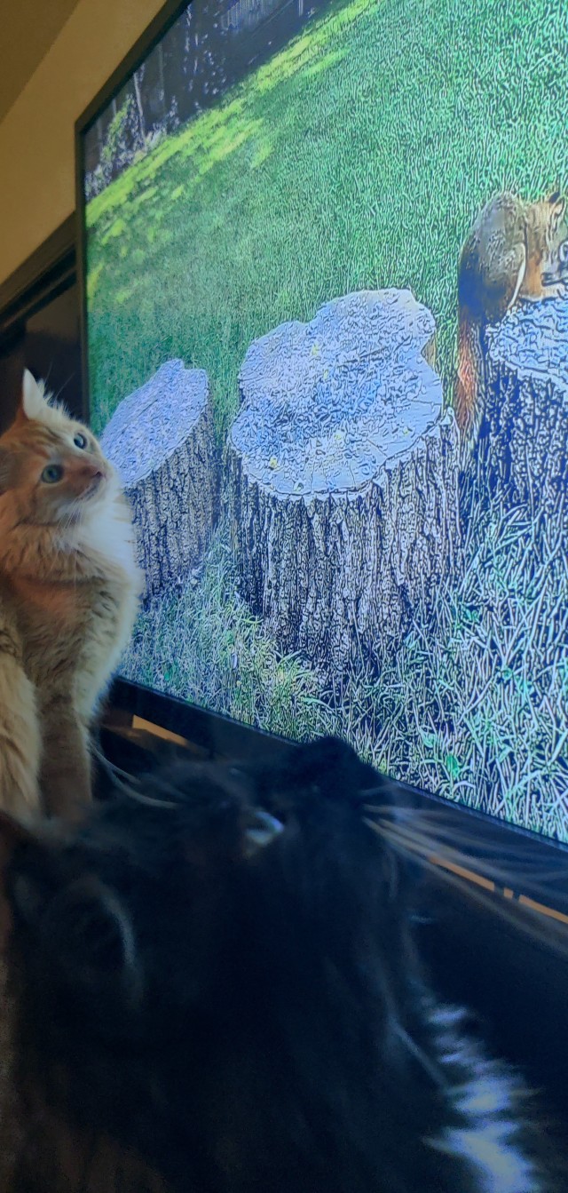 Полное, безграничное доверие