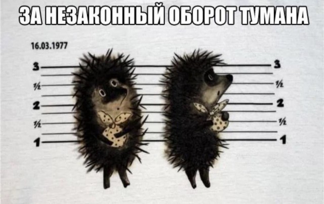Народная меДИЧина 8007