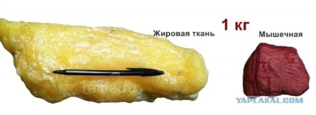 А у нас есть секрет