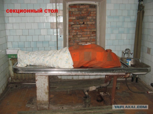 Будни девушки-патологоанатома