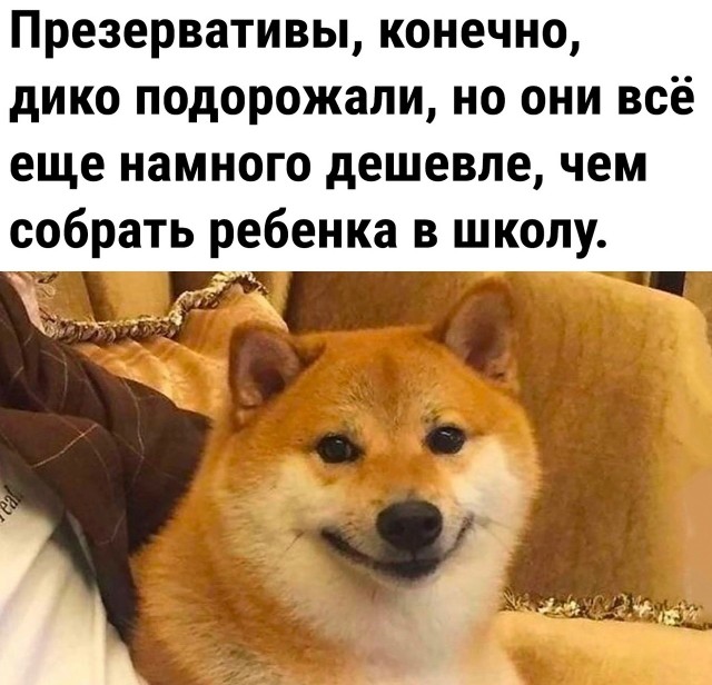 Так себе картинки 02.09.23