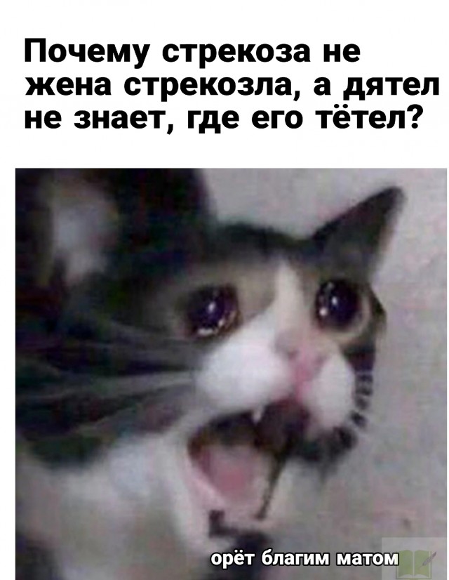 "Ты узнаешь ее из тысячи" Как распознать лесбиянку