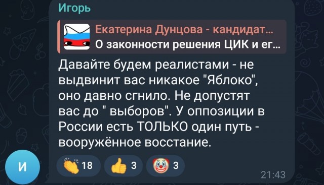 ЦИК посчитал странной подпись котиком участника инициативной группы Екатерины Дунцовой
