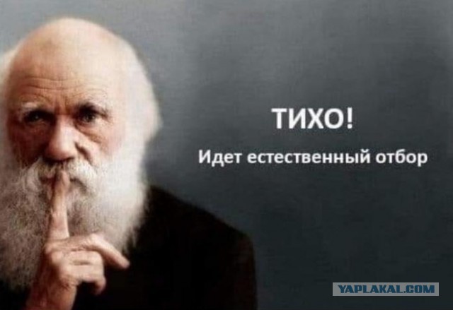 Мелкий едва не отправился на тот свет