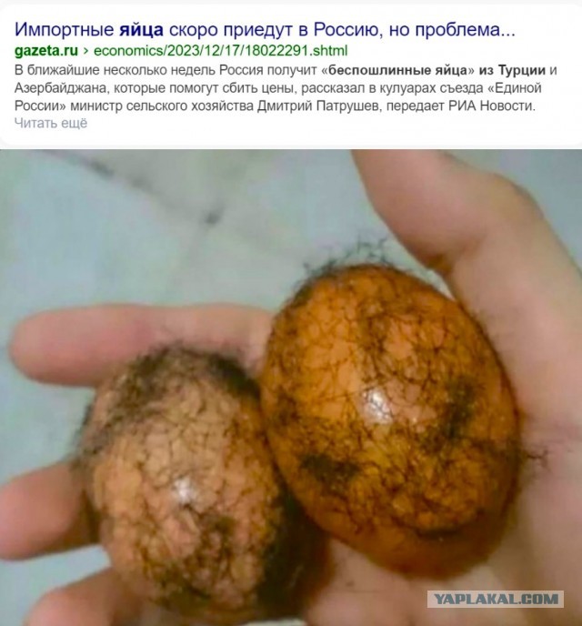 По итогам 2023 года птицефабрики стали миллиардерами