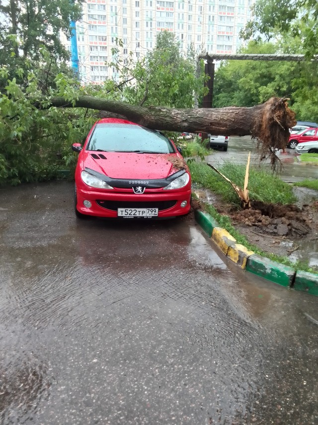 В Москве сильный ураган