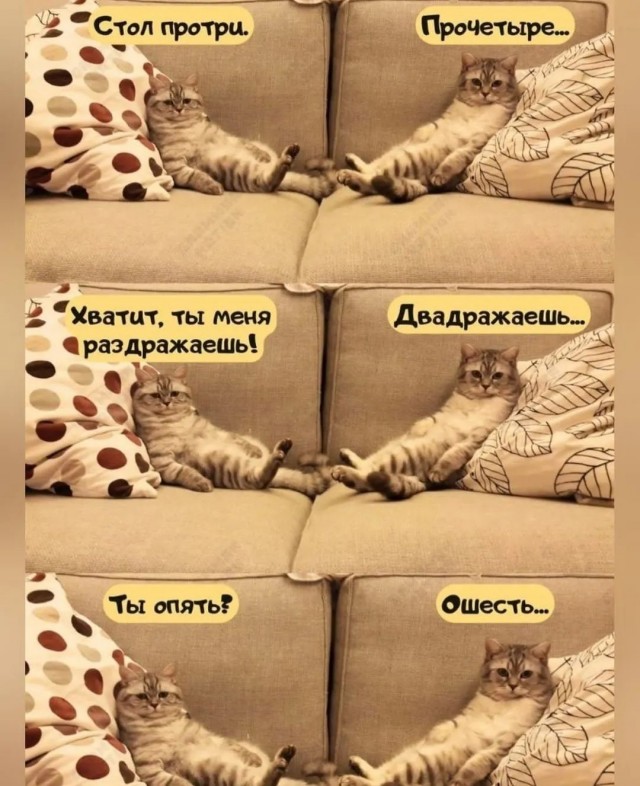 Завалялось тут случайно немного забавных картинок
