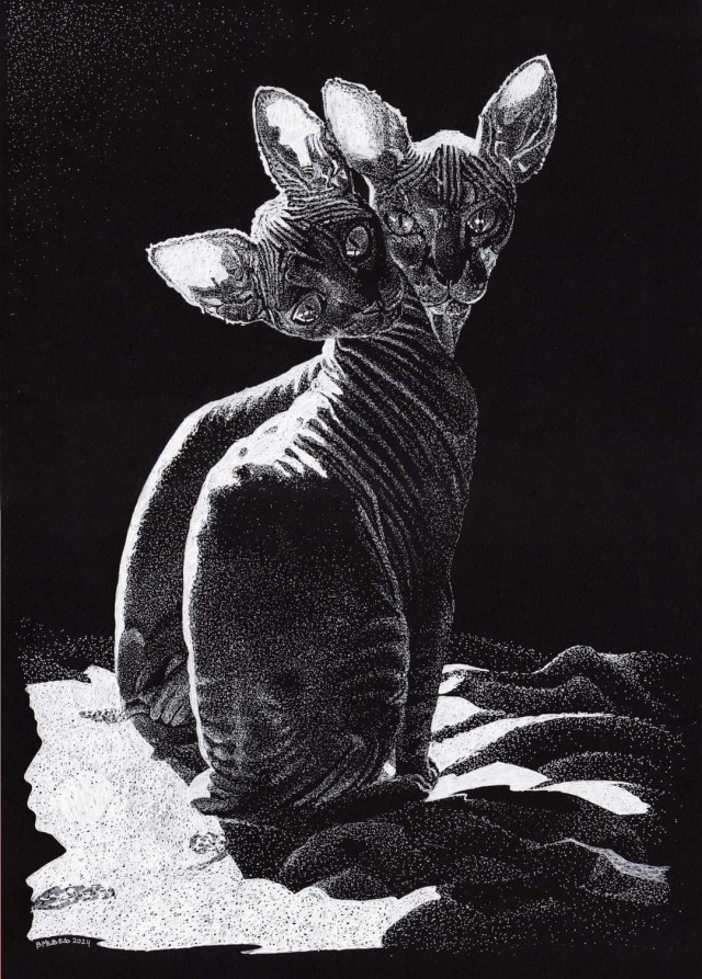 Белым по черному-2