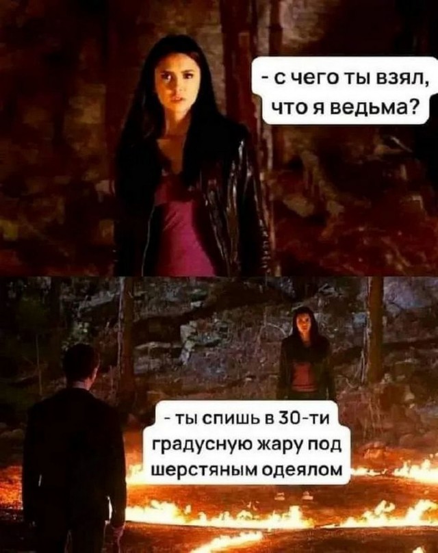 Немного забавных картинок от 18.08.2024