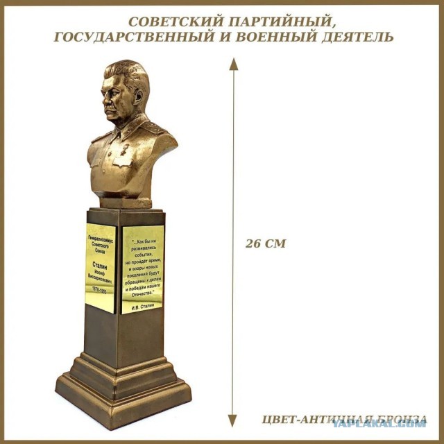 Мякушка головного