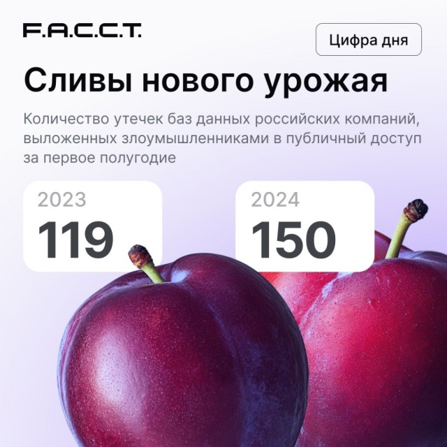 Башкирские силовики поймали кибербуллера, который полгода травил 16-летнюю студентку из Уфы