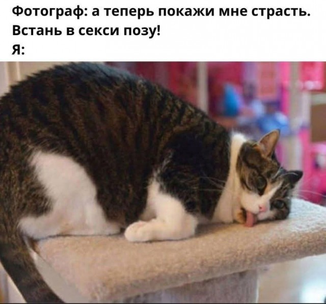 Маленькая пятница 12.03.25