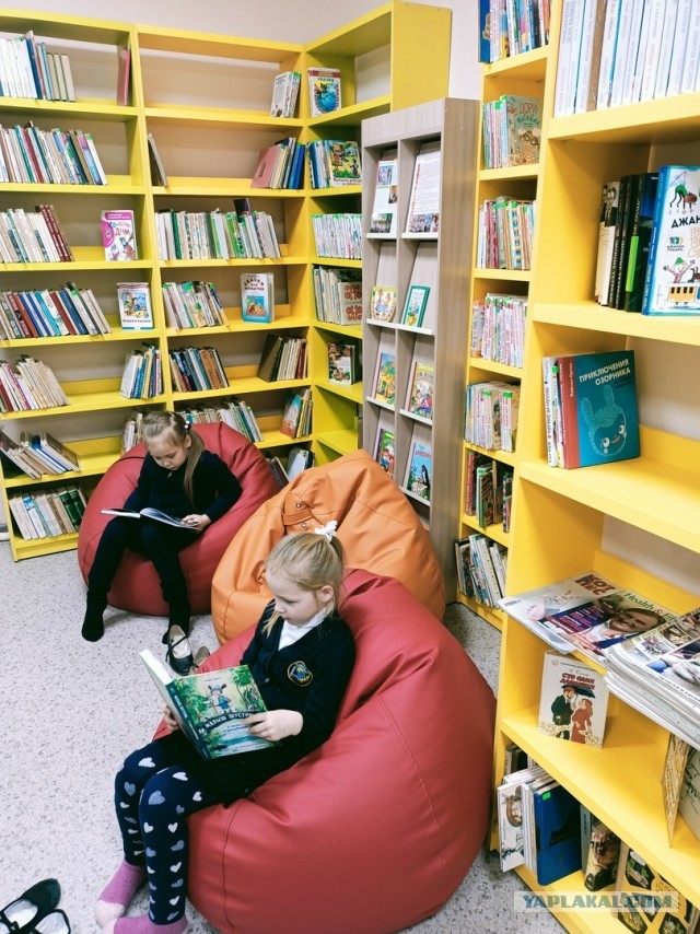 Зачем по всему миру  уничтожают книжные библиотеки