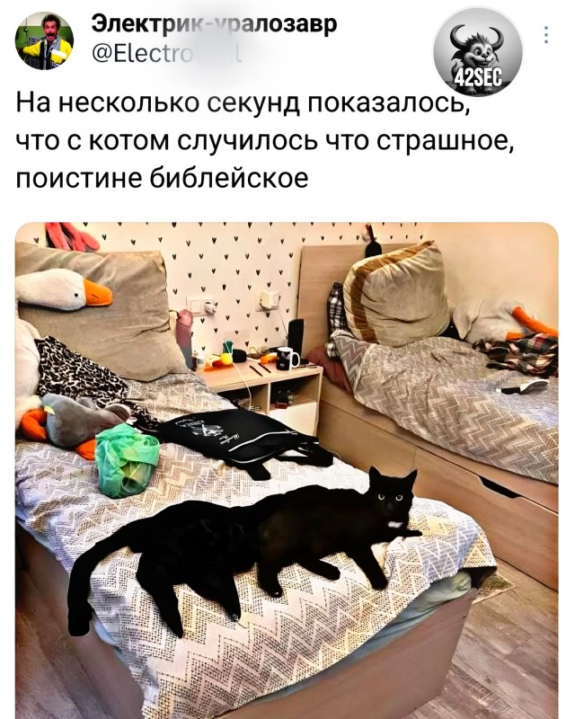Завалялось тут случайно немного забавных картинок