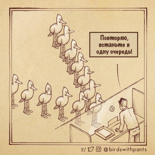 Так себе картинки 13.06.25