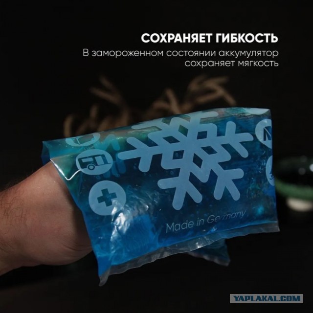 Сова, учись!