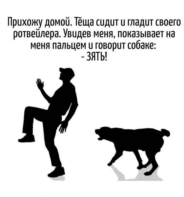 Игра слов в картинках