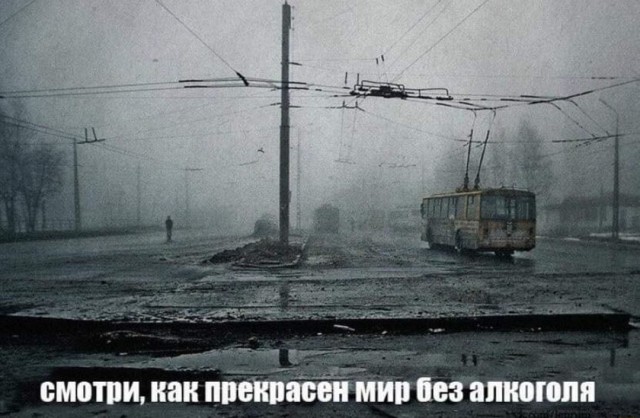Доля россиян, утверждающих, что они не употребляют алкоголь, выросла за 23 года вдвое